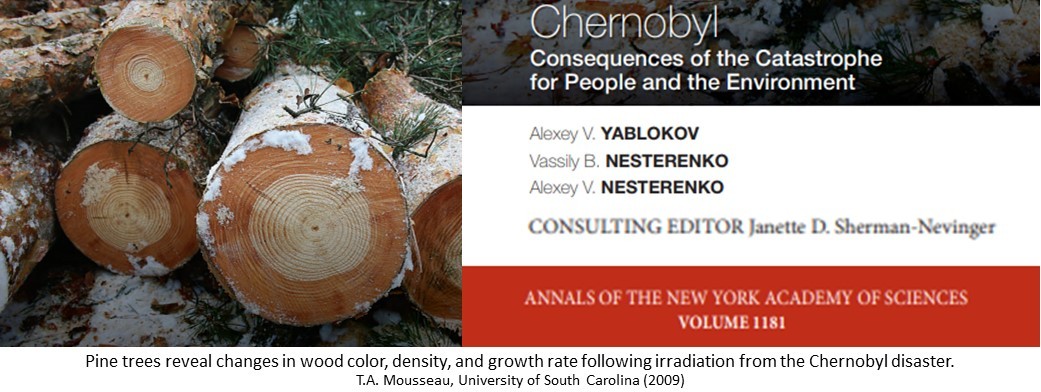 Chernobyl - Consequences of the Catastrophe for People and the Environment