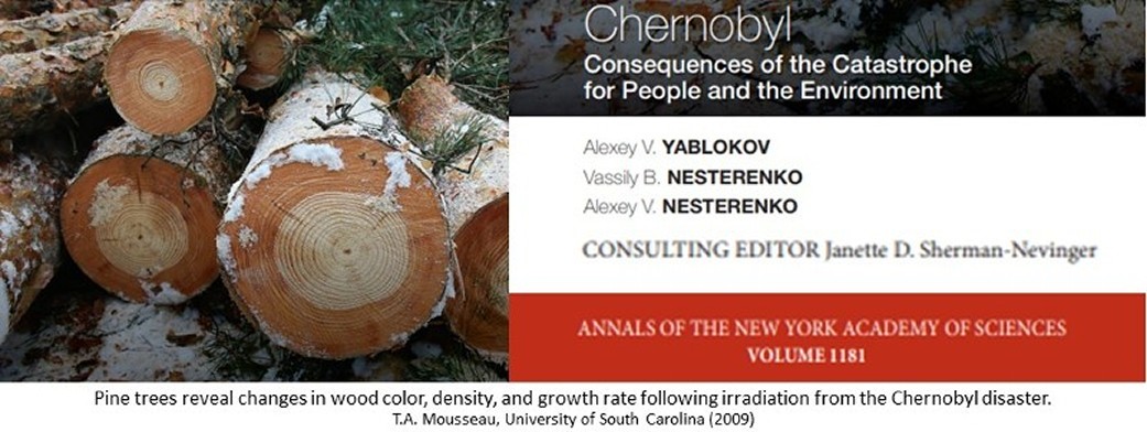 Chernobyl Trees
