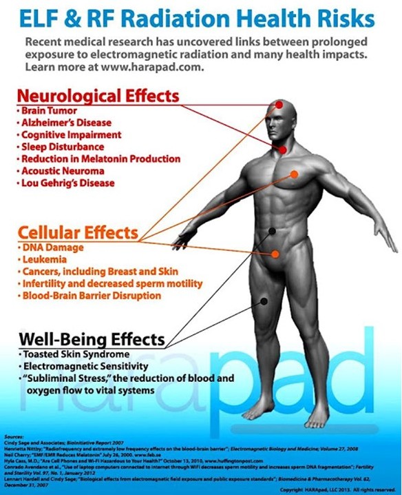 Health effects of electromagnetic frequencies (ELF) such as cell phones, Wi-Fi on you