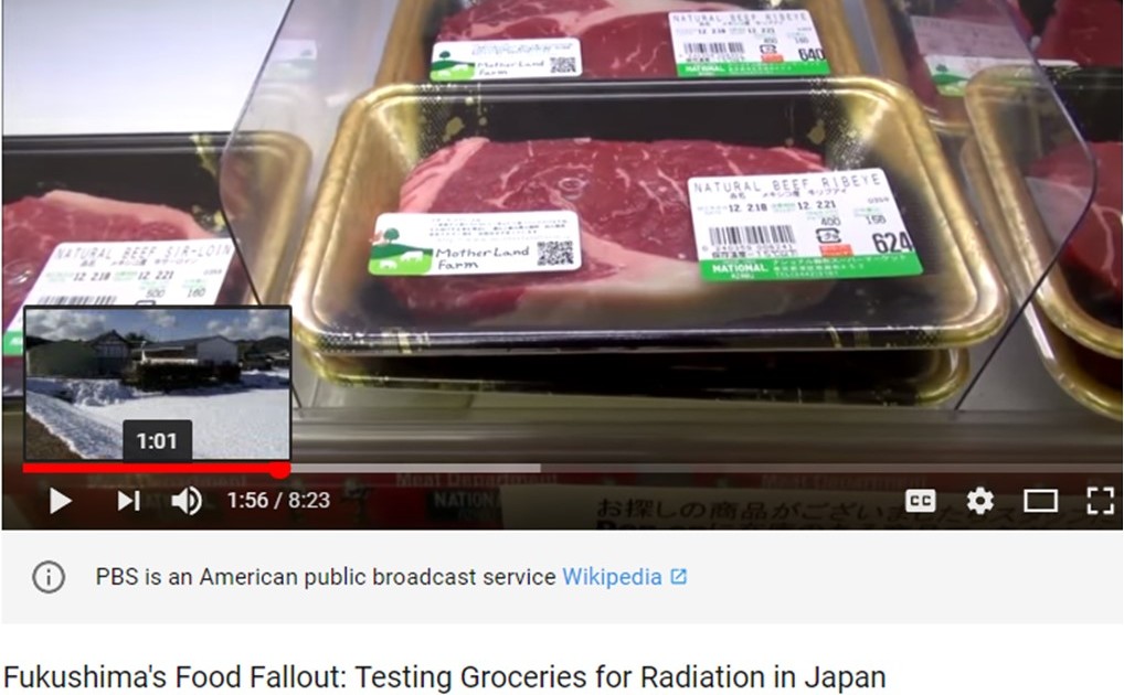 Testing for Nuclear Fallout in Supermarket Food in Japan