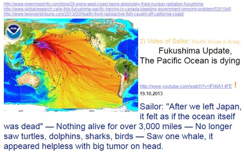Ocean currents carry plutonium, cesium, iodine & hundreds of other radionuclides around the Pacific Basin 24x7x365 since 2011 & practically, for Eternity. Migrating whales, dolphin, tuna, salmon swim beside the floating plutonium & other radionuclides ...to what end? ...cancer, leukemia, heart failure, bleeding lesions & tumors, mutated offspring ...all to the drum beats of nuclear apologists, who claim nuclear energy is safe & clean.