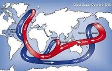 Ocean currents carrying Fukushima & other residual man-made fallout