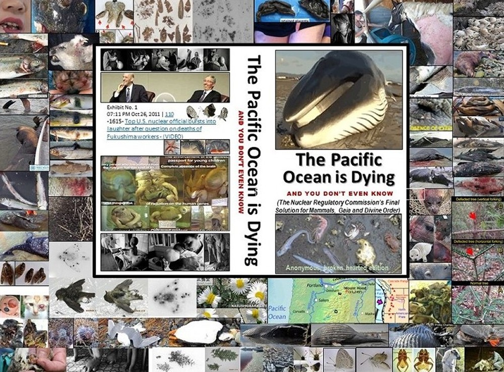 The Pacific Ocean is Dying and You Don't Even Know ...we are in the Sixth Great Extinction of Life on Planet Earth -- courtesy of Fed interest rate banking families valuing money over people, animals, all living things, and the Life Force. They value profits over people and it's time to stop the Fed interest rate banking families (and their apologists) who own and enslave us and murder us and all living things.