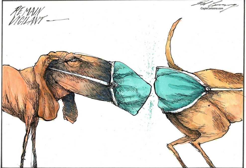 An artists impression of the usefulness of face masks & butt masks in Portland & around the world of dogs. Woof woof. Can you identify this breed of dog?