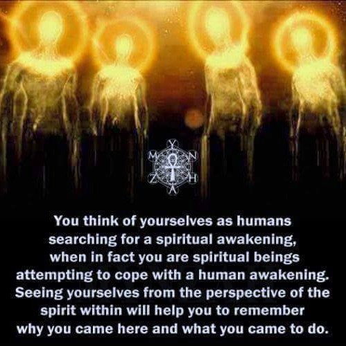 You think of yourselves as Portlandians rioting for spiritual awakening, when in fact you are spiritual beings coping with a human awakening – remember why you came here?