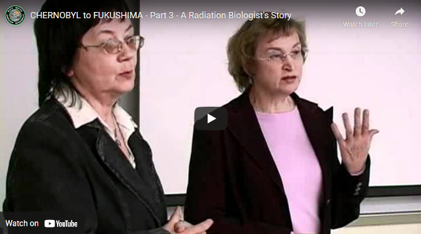 In the third of five parts of a seminar held at San Francisco State University April 8, 2011, radiation biologist Natalia Manzurova tells of her experience as a Chernobyl 'clean up liquidator' - translated by psychologist Tatiana Mukhamedyarova.
