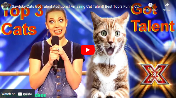 Cats got talent ...but some got radiation sickness from nuclear fallout, followed by terminal immune deficiency diseases then cancer.