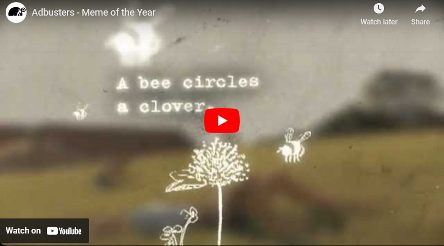 A bee circles a clover.