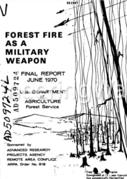 Forest fire as a military weapon