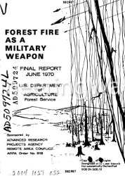 Forest fire as a military weapon