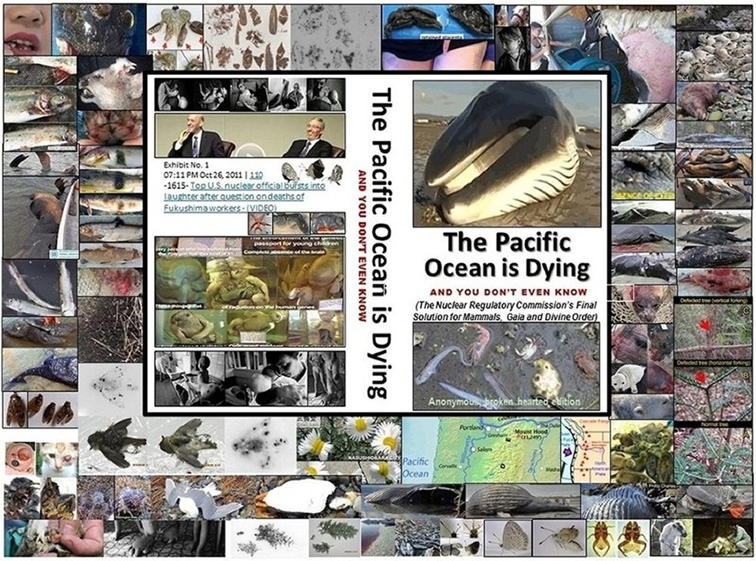 e-book cover of, The Pacific Ocean is Dying and You Don't Even Know