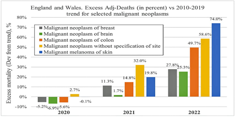 Excess deaths since Covid