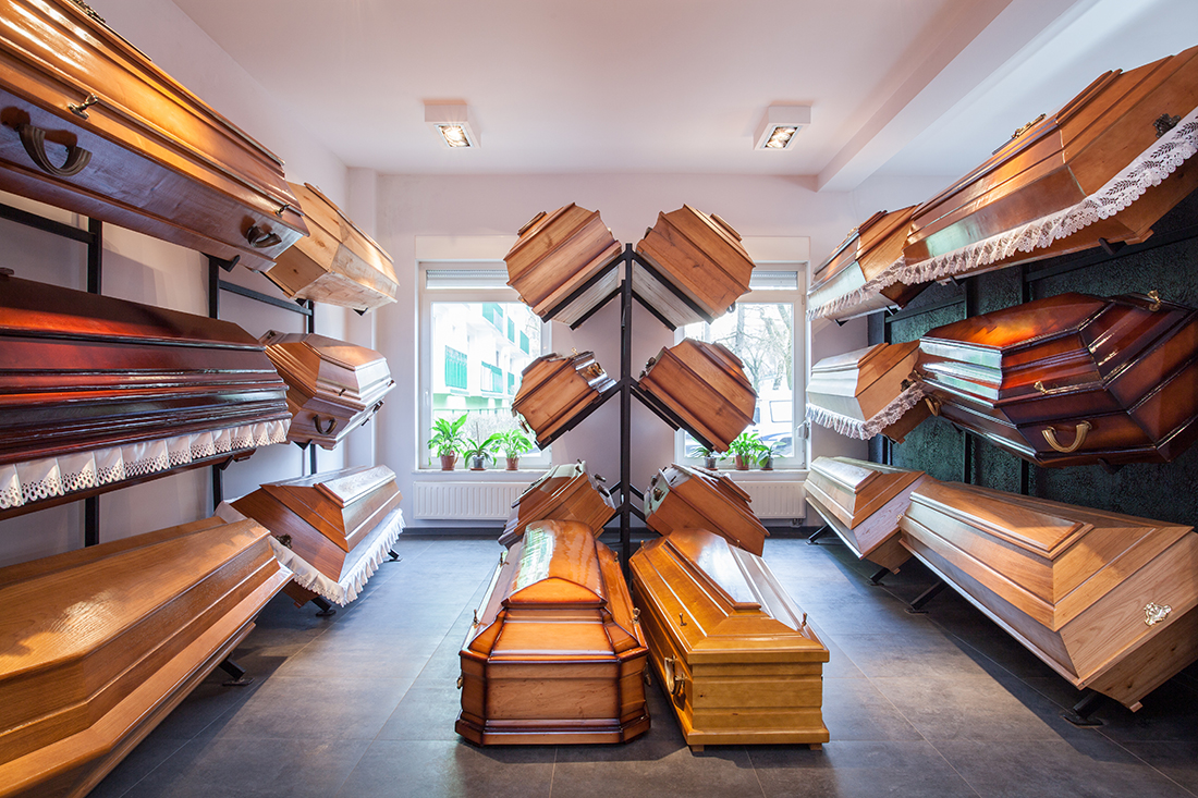 One ruling family runs the world - two dueling branches ...reserve your coffin today, supplies are limited
