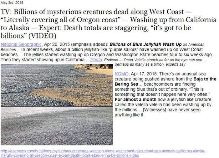 Billions of blue jellyfish wash up along West Coast, cover ALL of Oregon's coastline