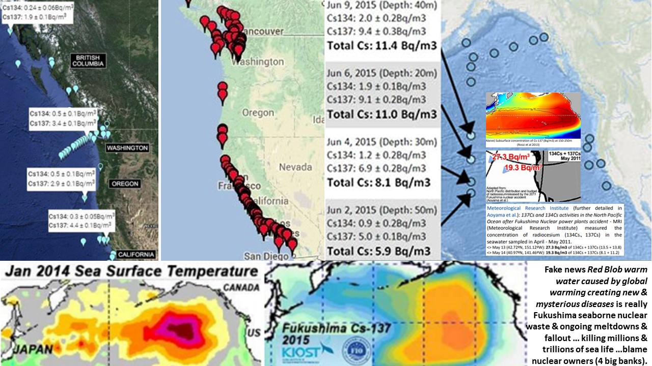 Note red dots on west coast are where sea stars are ripping themselves apart then dissolving.