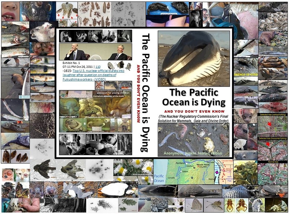 The Pacific Ocean is Dying and You Don't Even Know ...we are in the Sixth Great Extinction of Life on Planet Earth -- courtesy of Fed interest rate banking families valuing money over people, animals, all living things, and the Life Force. They value profits over people and it's time to stop the Fed interest rate banking families (and their apologists) who own and enslave us and murder us and all living things.