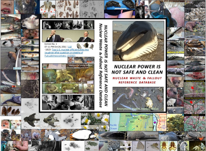 Self-preservation & Pacific Ocean Conservation is half the battle. The only companion e-books (& website) to document that prior & ongoing radioactive nuclear industry waste & fallout …& prior atmospheric testing & waste & fallout are killing the Pacific Ocean ...& is a feminist issue because women & girls who live within 25 miles of a nuclear reactor get more cancer than men or boys or those living farther away ...& 41,000 men, women & children a day get fatal & non-fatal cancer from accumulated & new nuclear industry radioactive waste & fallout ...& that central bankers own the major corporations (including nuclear industry) polluting the environment crushing Mother Nature & with Environmental Personhood corporations & the central bankers that direct them are liable. Self-preservation & Pacific Ocean Conservation is half the battle. The only companion e-books (& website) to document that prior & ongoing radioactive nuclear industry waste & fallout …& prior atmospheric testing & waste & fallout are killing the Pacific Ocean ...& is a feminist issue because women & girls who live within 25 miles of a nuclear reactor get more cancer than men or boys or those living farther away ...& 41,000 men, women & children a day get fatal & non-fatal cancer from accumulated & new nuclear industry radioactive waste & fallout ...& that central bankers own the major corporations (including nuclear industry) polluting the environment crushing Mother Nature & with Environmental Personhood corporations & the central bankers that direct them are liable.
