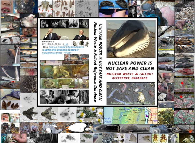 Self-preservation & Pacific Ocean Conservation is half the battle. The only companion e-books (& website) to document that prior & ongoing radioactive nuclear industry waste & fallout …& prior atmospheric testing & waste & fallout are killing the Pacific Ocean ...& is a feminist issue because women & girls who live within 25 miles of a nuclear reactor get more cancer than men or boys or those living farther away ...& 41,000 men, women & children a day get fatal & non-fatal cancer from accumulated & new nuclear industry radioactive waste & fallout  ...& that central bankers own the major corporations (including nuclear industry) polluting the environment crushing Mother Nature & with Environmental Personhood corporations & the central bankers that direct them are liable.