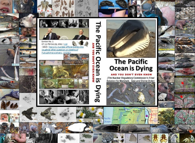 Self-preservation & Pacific Ocean Conservation is half the battle. The only companion e-books (& website) to document that prior & ongoing radioactive nuclear industry waste & fallout …& prior atmospheric testing & waste & fallout are killing the Pacific Ocean ...& is a feminist issue because women & girls who live within 25 miles of a nuclear reactor get more cancer than men or boys or those living farther away ...& 41,000 men, women & children a day get fatal & non-fatal cancer from accumulated & new nuclear industry radioactive waste & fallout ...& that central bankers own the major corporations (including nuclear industry) polluting the environment crushing Mother Nature & with Environmental Personhood corporations & the central bankers that direct them are liable. Self-preservation & Pacific Ocean Conservation is half the battle. The only companion e-books (& website) to document that prior & ongoing radioactive nuclear industry waste & fallout …& prior atmospheric testing & waste & fallout are killing the Pacific Ocean ...& is a feminist issue because women & girls who live within 25 miles of a nuclear reactor get more cancer than men or boys or those living farther away ...& 41,000 men, women & children a day get fatal & non-fatal cancer from accumulated & new nuclear industry radioactive waste & fallout ...& that central bankers own the major corporations (including nuclear industry) polluting the environment crushing Mother Nature & with Environmental Personhood corporations & the central bankers that direct them are liable.