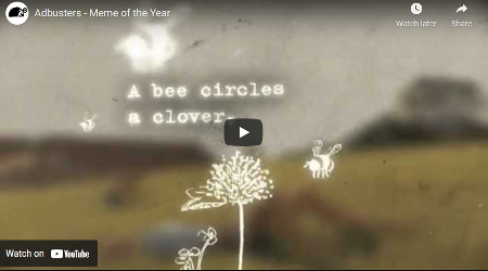A bee circles a clover