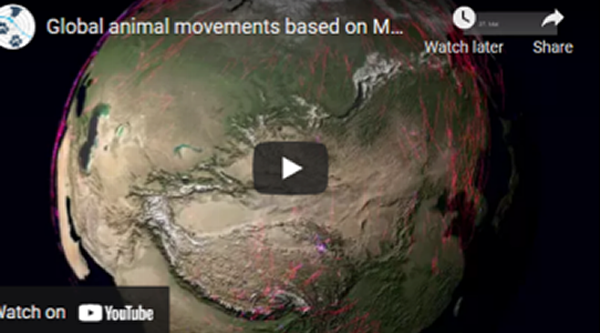 Global migration Global migration