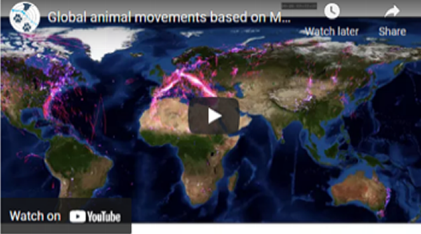 Global migration Global migration