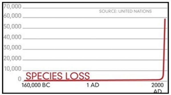 Species loss likely from pollution, nuclear fallout & weather warfare (electronic warfare)