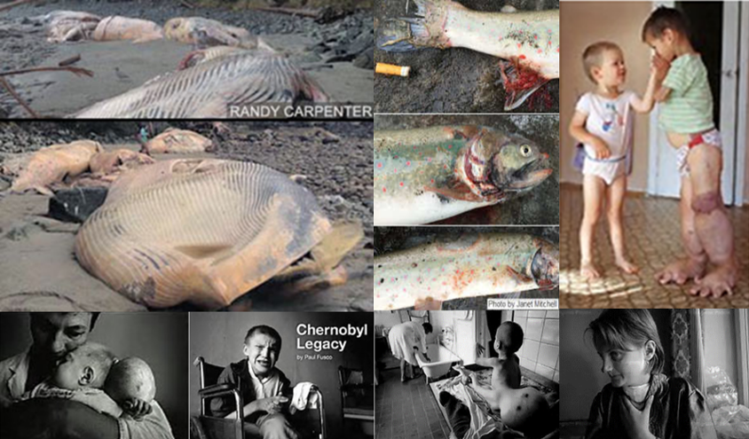 Nuclear radiation gives people & animals cancer, mutates &/or kills them Nuclear radiation gives people & animals cancer, mutates &/or kills them