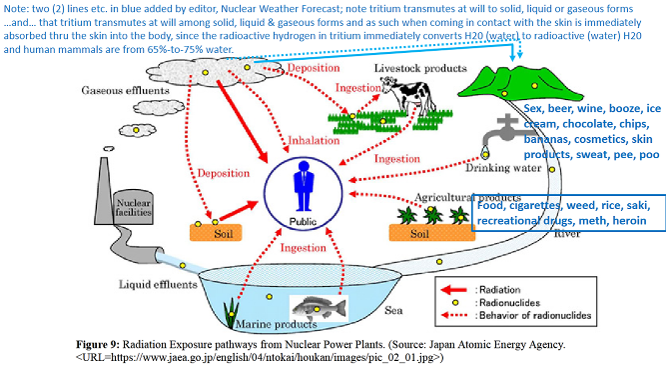 bioaccumulation