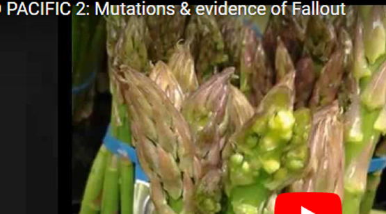 Evidence of mutations & fallout.