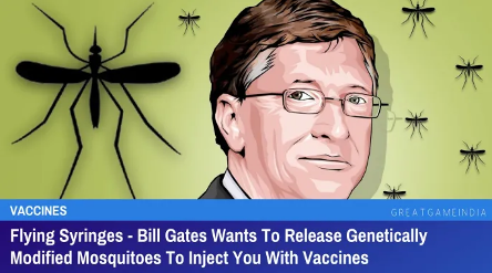 Bill Gates is a mosquito. Bill Gates is a mosquito.
