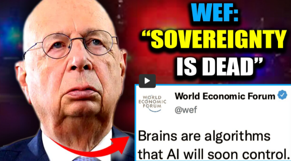 Human Beings are no longer sovereign