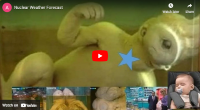 Nuclear Weather Forcastt promotional video