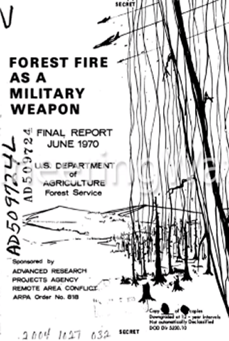 Forest fire as a military weapon