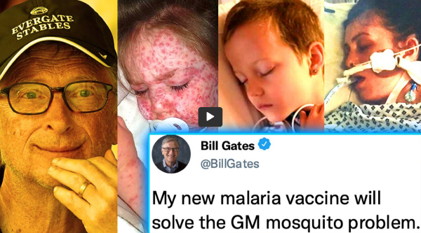 Bill Gates biowar czar