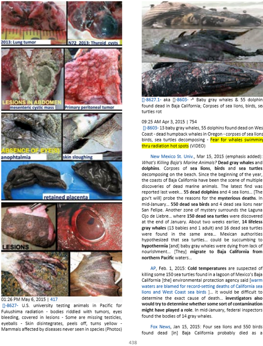 Animal disease pics likely from swimming in sea water alongside plutonium & up to 1,000 other deadly carcinogenic radionuclides