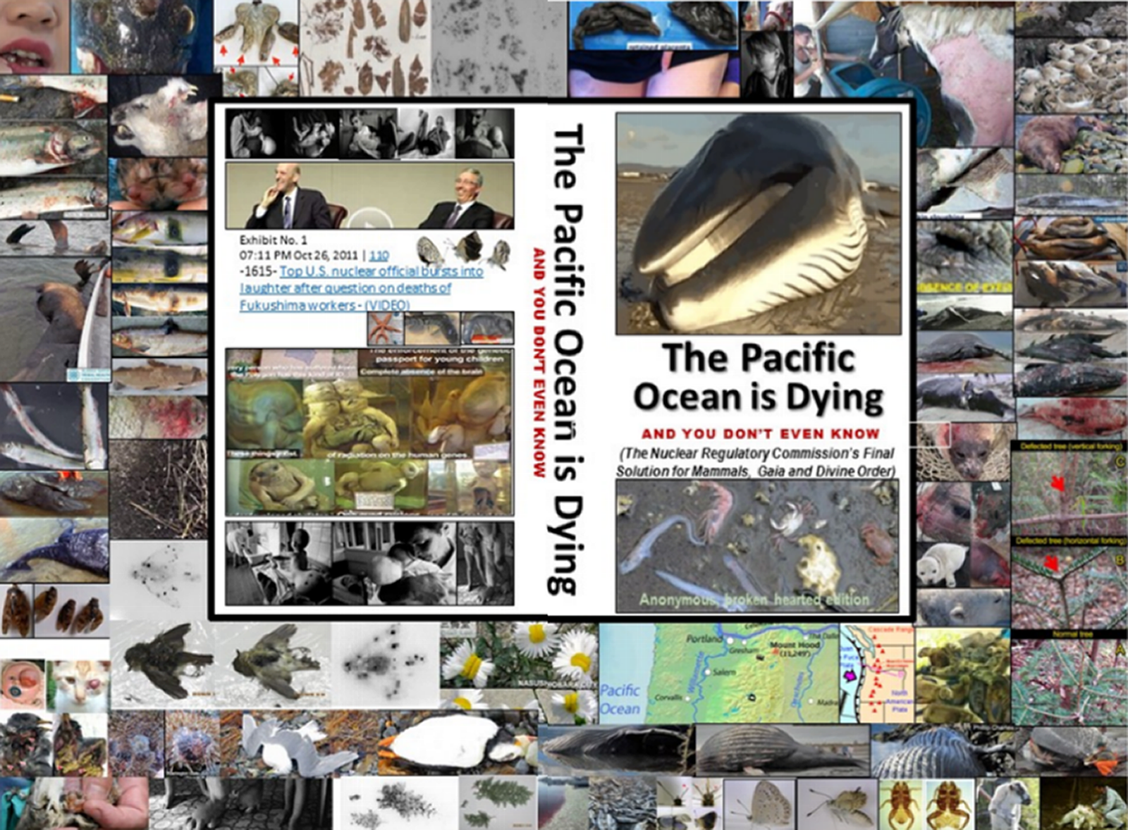 Self-preservation and Pacific Ocean Conservation is half the battle. The only companion e-books (and website) to document that prior and ongoing radioactive nuclear industry waste and fallout and prior atmospheric testing and waste and fallout are killing the Pacific Ocean ...and is a feminist issue because women and girls who live within 25 miles of a nuclear reactor get more cancer than men or boys or those living farther away ...and 41,000 men, women and children a day get fatal and non-fatal cancer from accumulated and new nuclear industry radioactive waste and fallout ...and that central bankers own the major corporations (including nuclear industry) polluting the environment crushing Mother Nature and with Environmental Personhood corporations and the central bankers that direct them are liable.