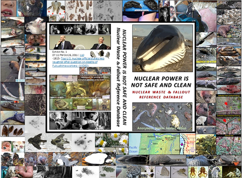 Preservation and Pacific Ocean Conservation is half the battle. The only companion e-books (and website) to document that prior and ongoing radioactive nuclear industry waste and fallout and prior atmospheric testing and waste and fallout are killing the Pacific Ocean ...and is a feminist issue because women and girls who live within 25 miles of a nuclear reactor get more cancer than men or boys or those living farther away ...and 41,000 men, women and children a day get fatal and non-fatal cancer from accumulated and new nuclear industry radioactive waste and fallout  ...and that central bankers own the major corporations (including nuclear industry) polluting the environment crushing Mother Nature and with Environmental Personhood corporations and the central bankers that direct them are liable.