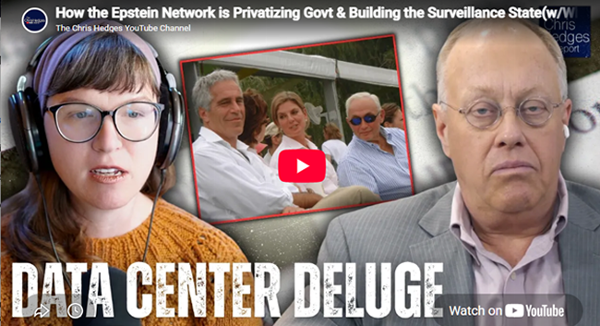 Epstein Network Privatizing & Govt & Building the Surveillance State and bringing it to market